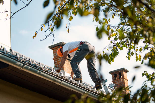 Sealant for Roof in Nixa, MO